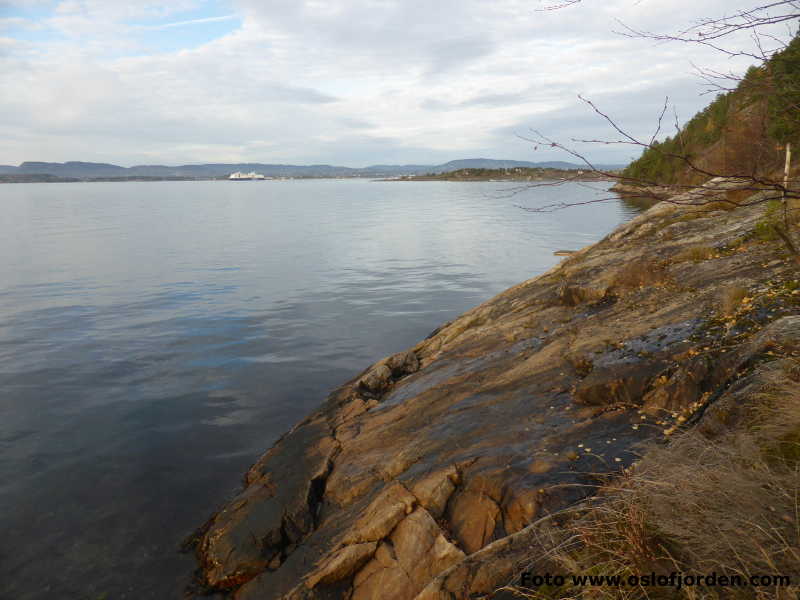 Bonden badeplass Nesodden