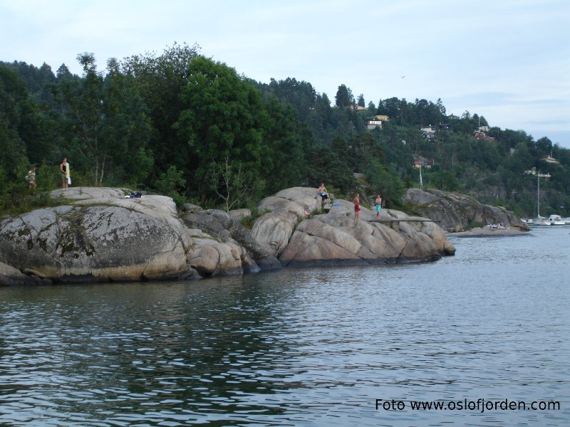 Stupebrett ved Breivoll badeplass