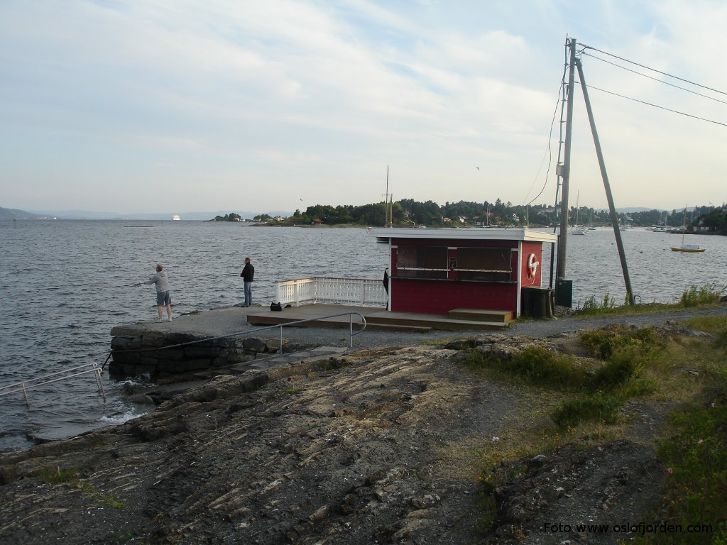 Halden badeplass Fornebu