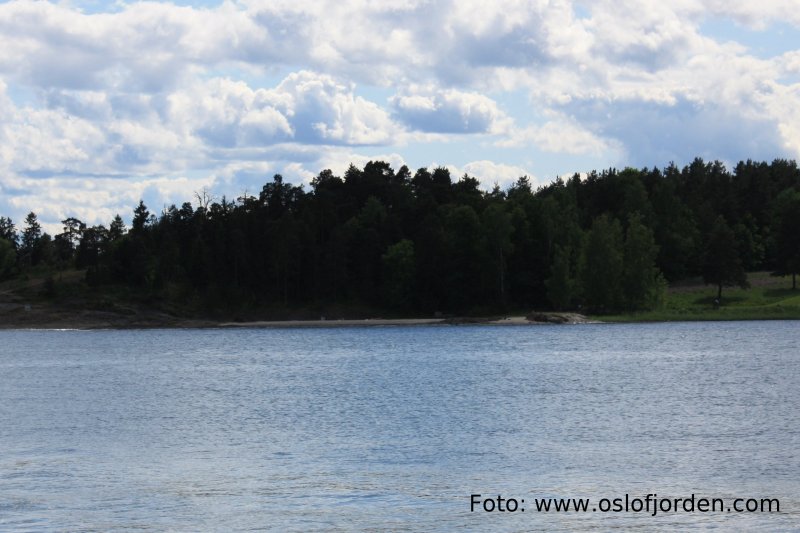 Kalvøya naturistrstrand fra nord