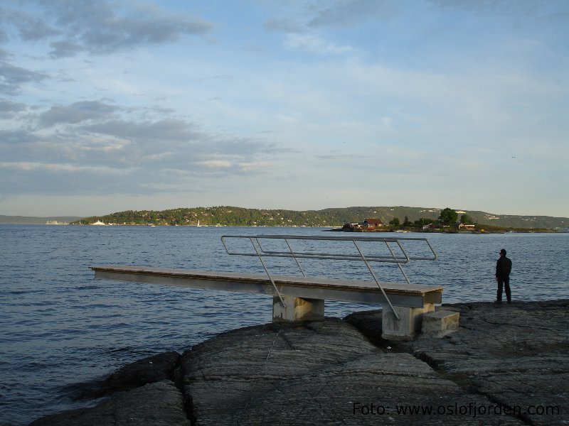 Pelvikodden badeplass