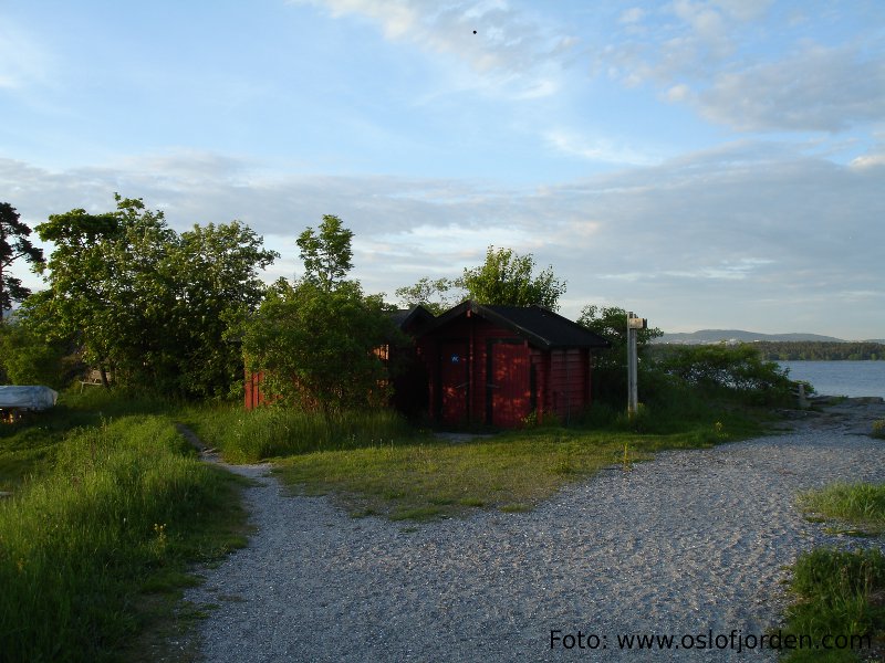 Pelvikodden badeplass