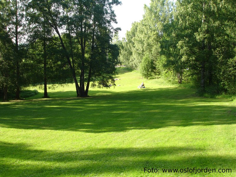 Sandbukta badeplass gresslette