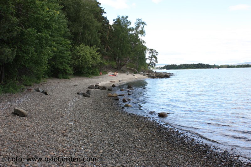 Sjøskogen strand mot nord