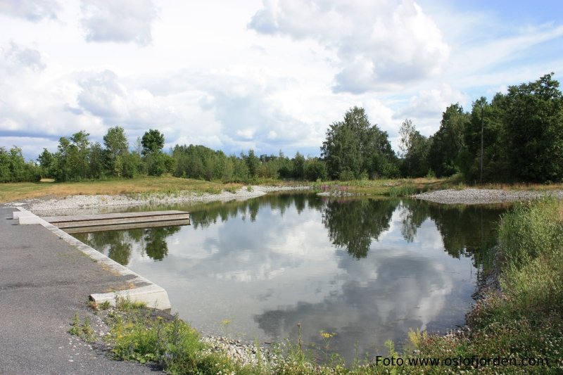 Dam langs kyststien på Storøyodden