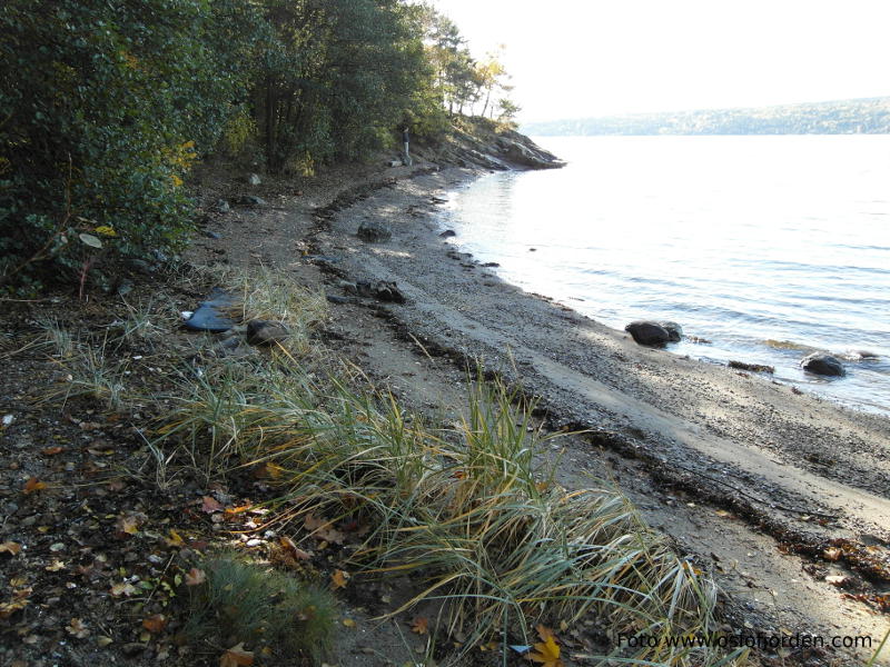 Strandkollen badeplass