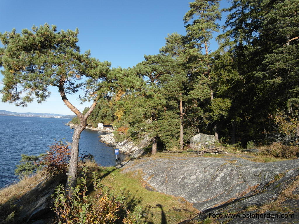 Strandskog badeplass