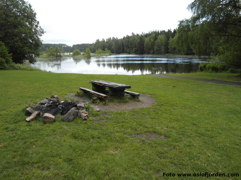 Damtjern badeplass Lier Liertoppen