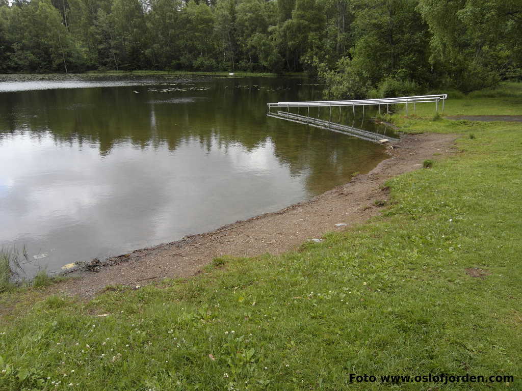 Damtjern badeplass Lier Liertoppen