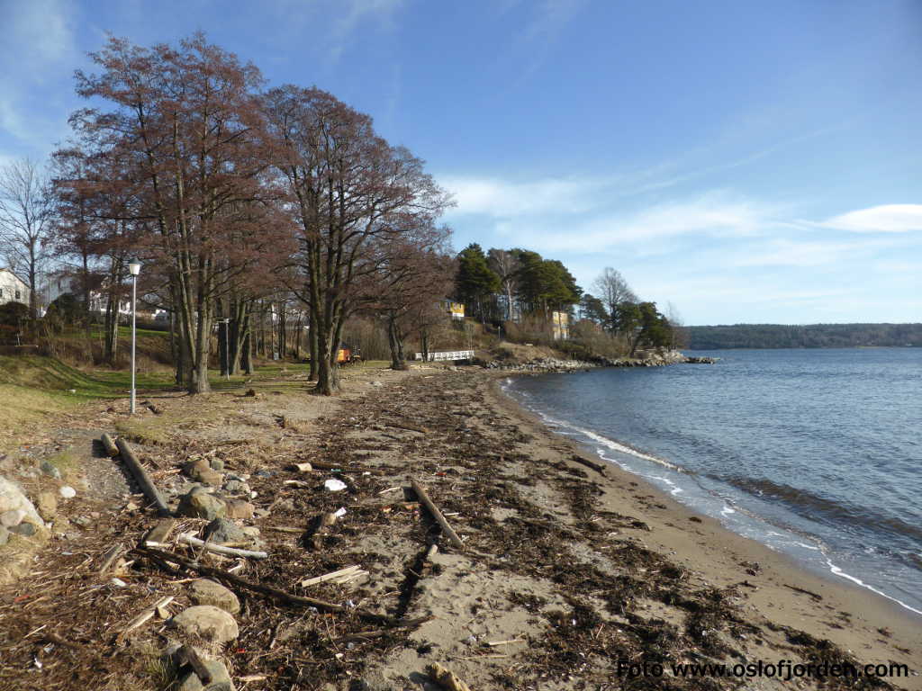 Ekrebukta badeplass Filtvet strand