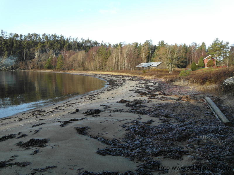 Ertsvika badeplass Hurum