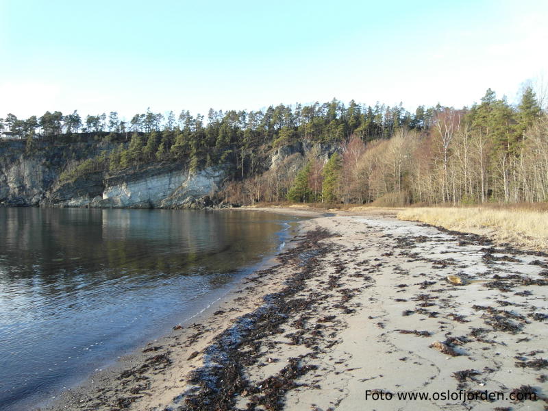 Ertsvika badeplass Hurum