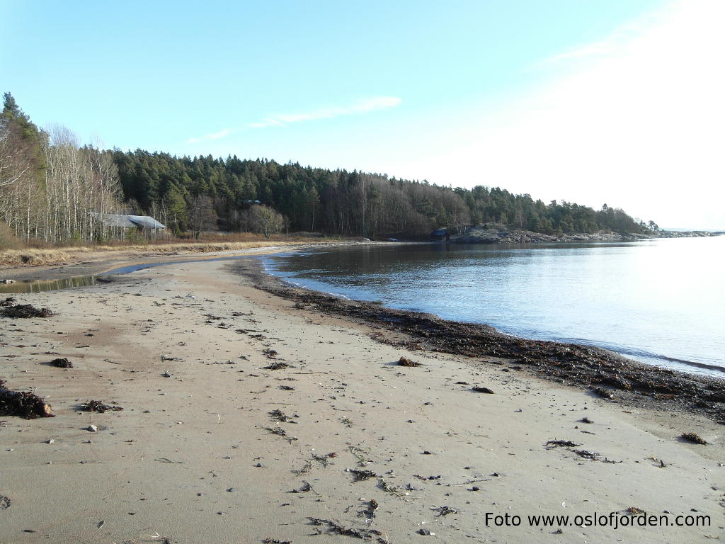 Ertsvika badeplass