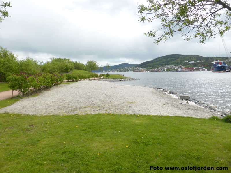 Fjordparken badeplass Drammen strand