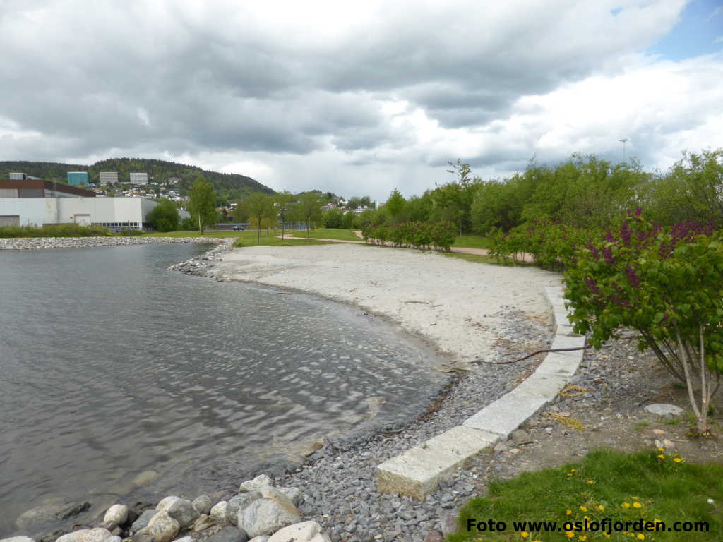 Fjordparken badeplass Drammen strand