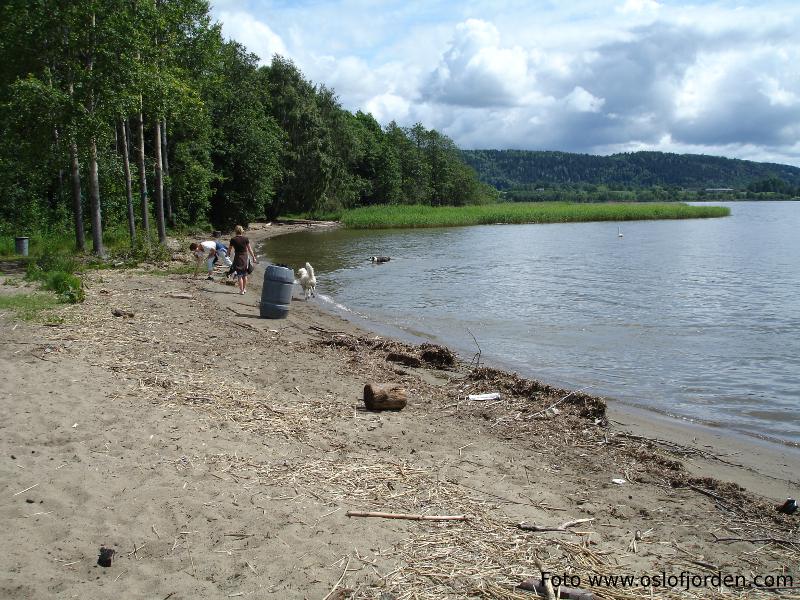 Gilhusodden badeplass sandstrand