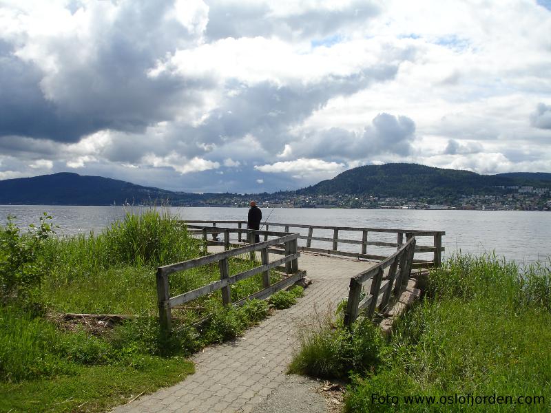 Gilhusodden badeplass fiskeplass