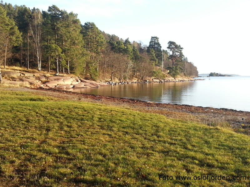 Rødtangen Camping badeplass