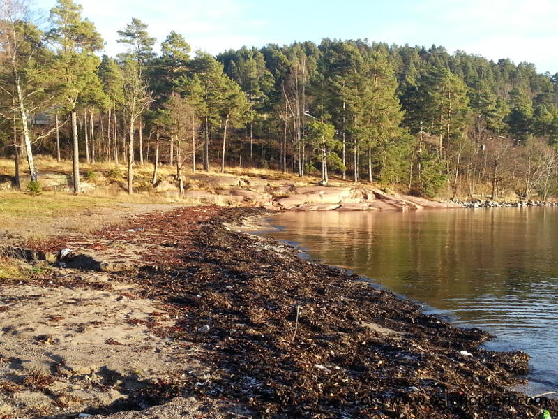 Rødtangen Camping badeplass