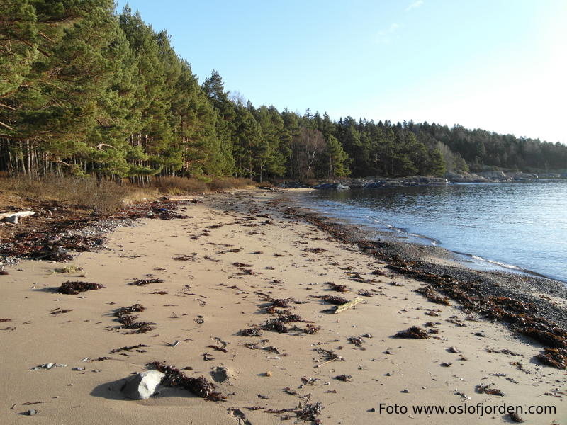 Sandbukta badeplass