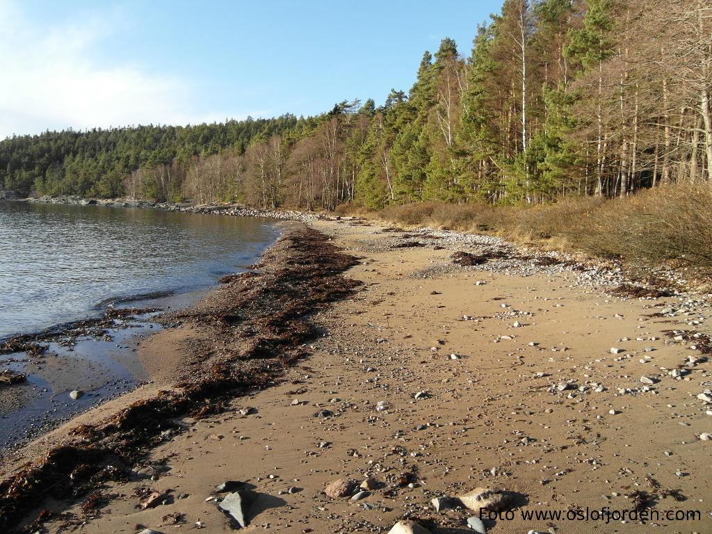 Sandbukta vest badeplass