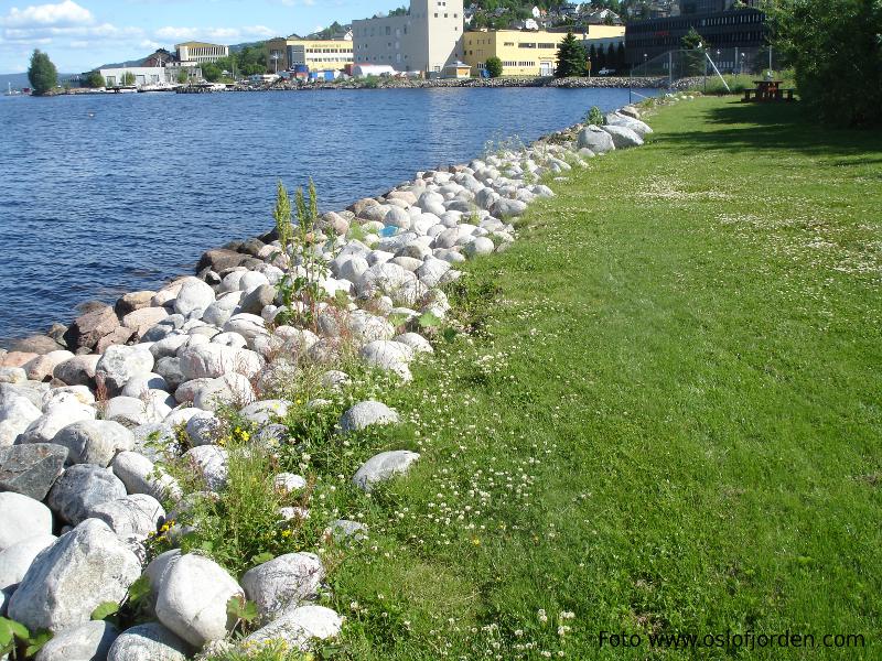 Sota Fjordpark badeplass