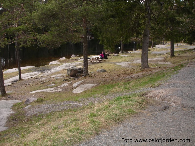 Badedammen Badeplass skog