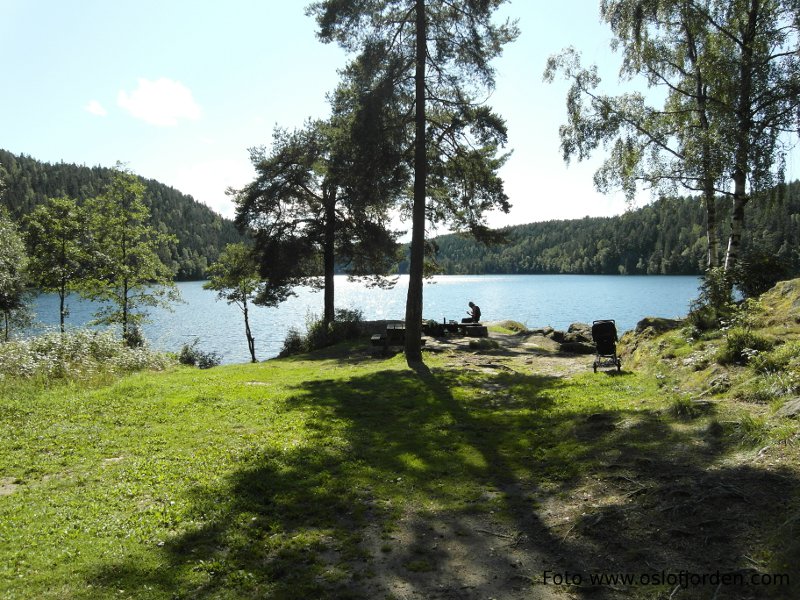 Grillplass ved Lutvann badeplass