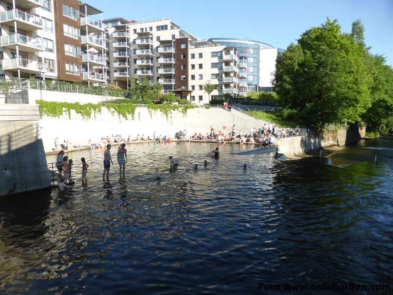 Nydalsdammen stupebrett Akerselva Oslo