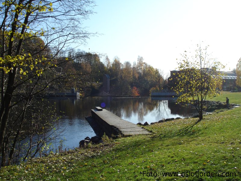 Nydalsdammen badeplass Akerelva