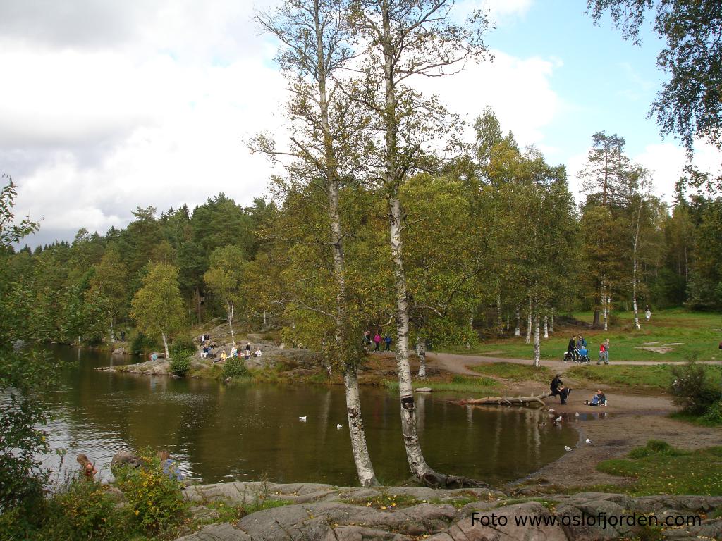 Sognsvann rundtur