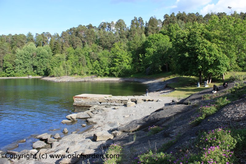 Friområde Solvik Malmøya 