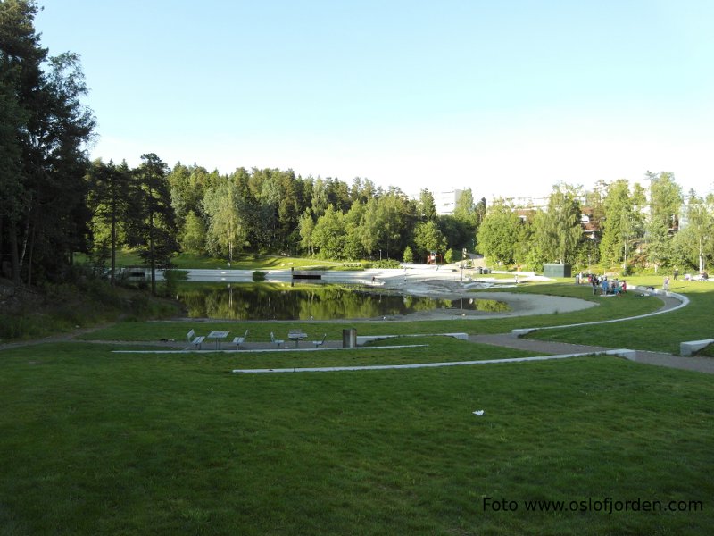 Svarttjernparken badeplass