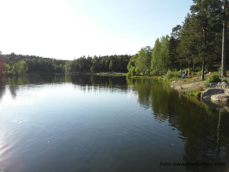 Vesletjern badeplass Oslo