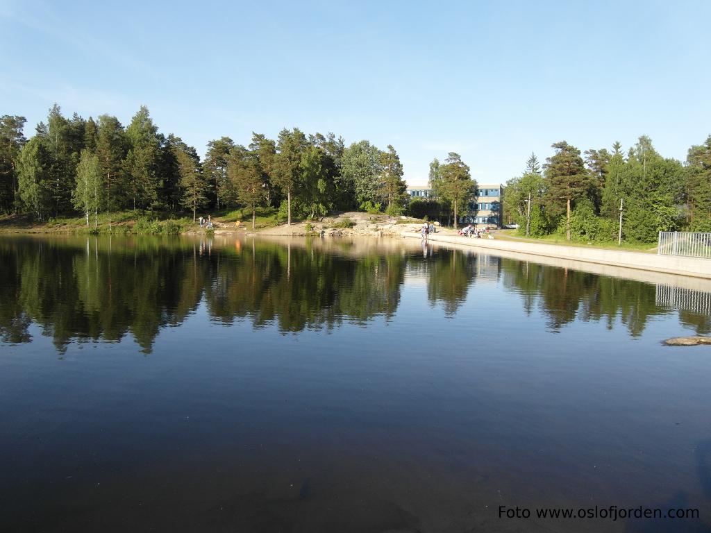 Vesletjern badeplass Ammerud