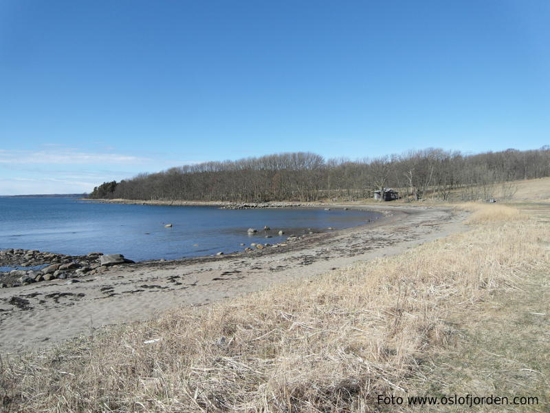 Albybukta badeplass Moss Jeløy