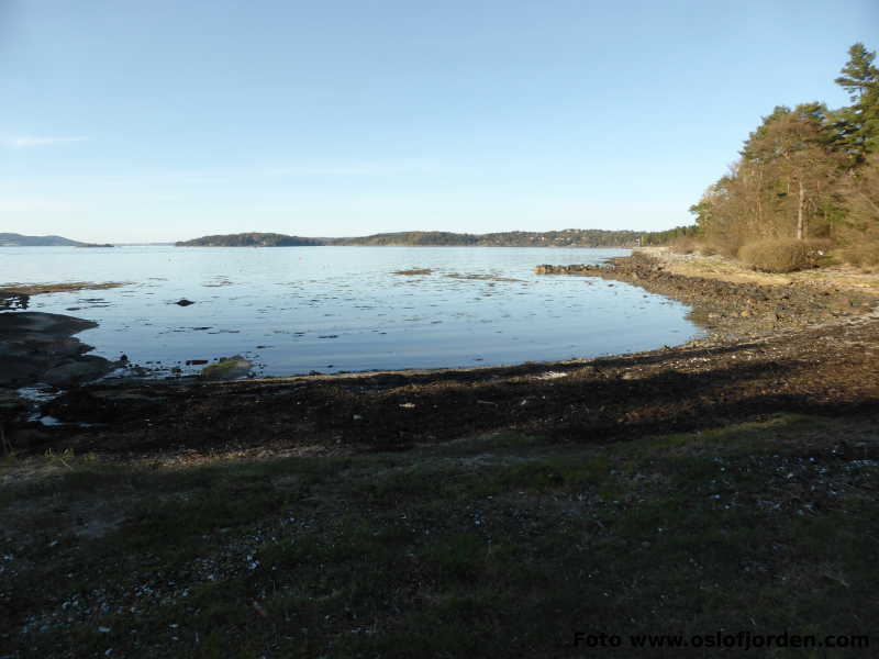 Heyerdalbukta badeplass Moss Jeløy