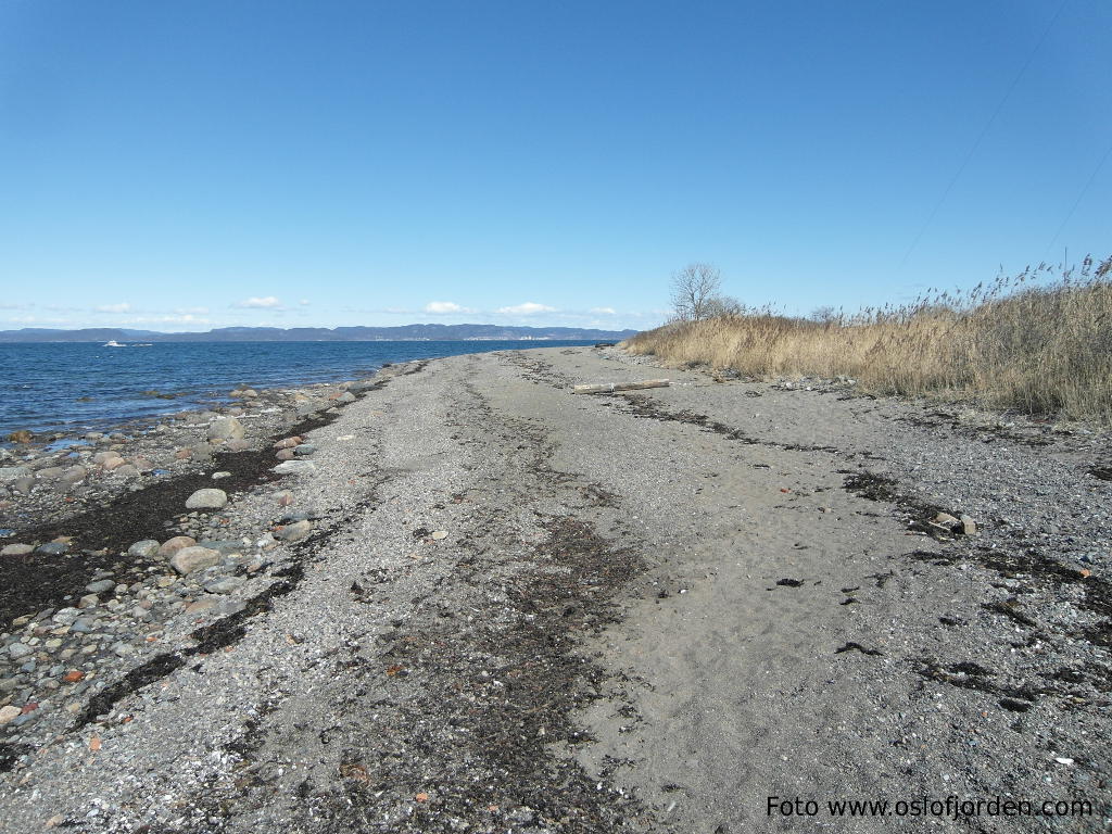 Jeløy radio badeplass