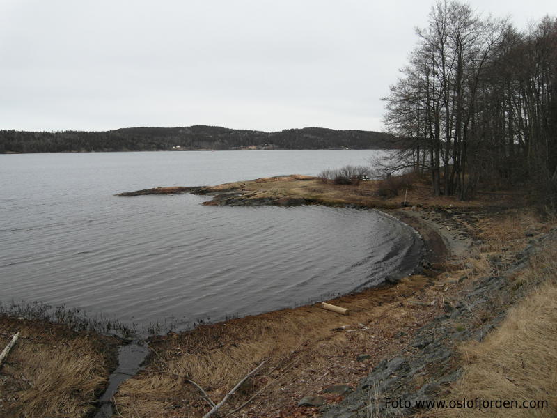 Lindebaugen badeplass Moss