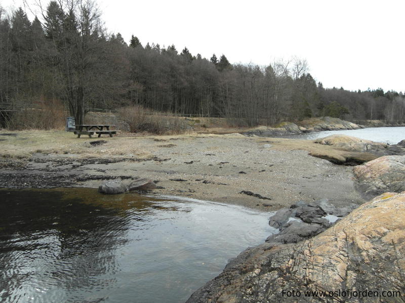 Lindebaugen badeplass Moss