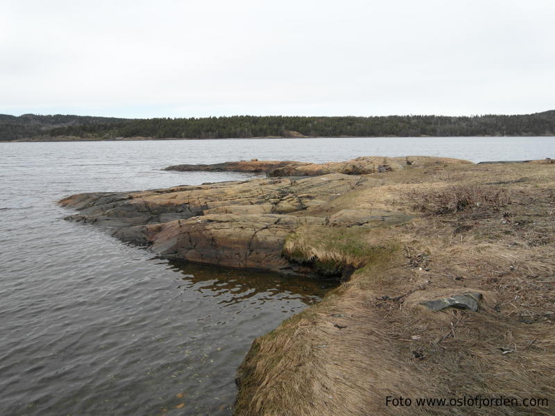 Lindebaugen badeplass Moss