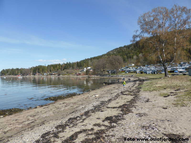 Nesbukta badeplass Moss Jeløy