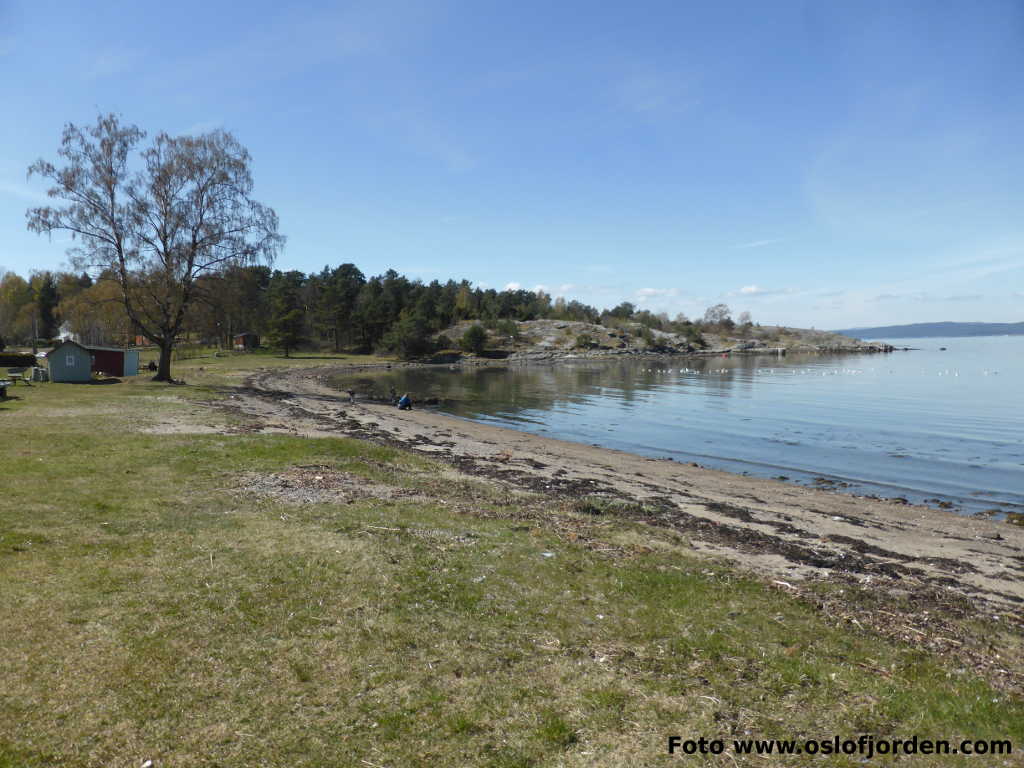 Nesbukta badeplass Moss Jeløy