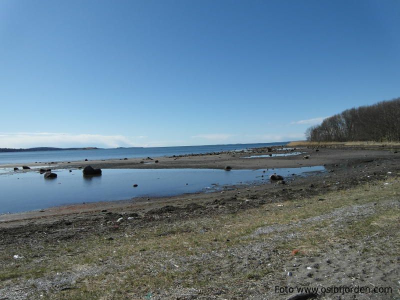 Reierbukta badeplass Alby Moss