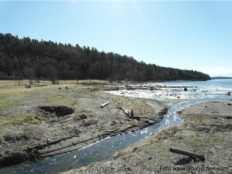 Reierbukta badeplass Jeløy Moss Alby