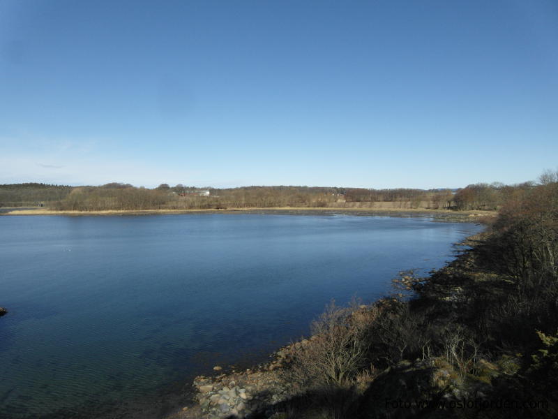 Reierbukta badeplass Moss Jeløy