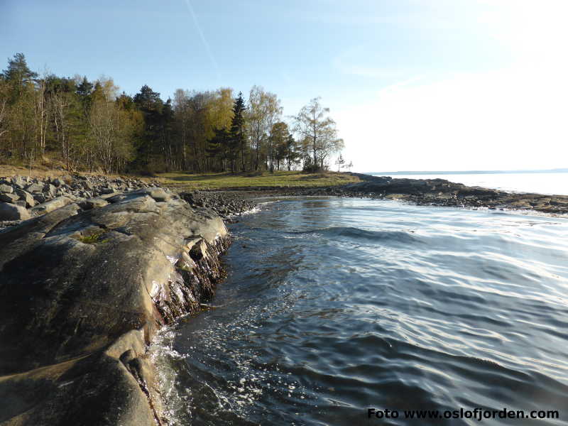 Signalodden badeplass Moss Jeløy