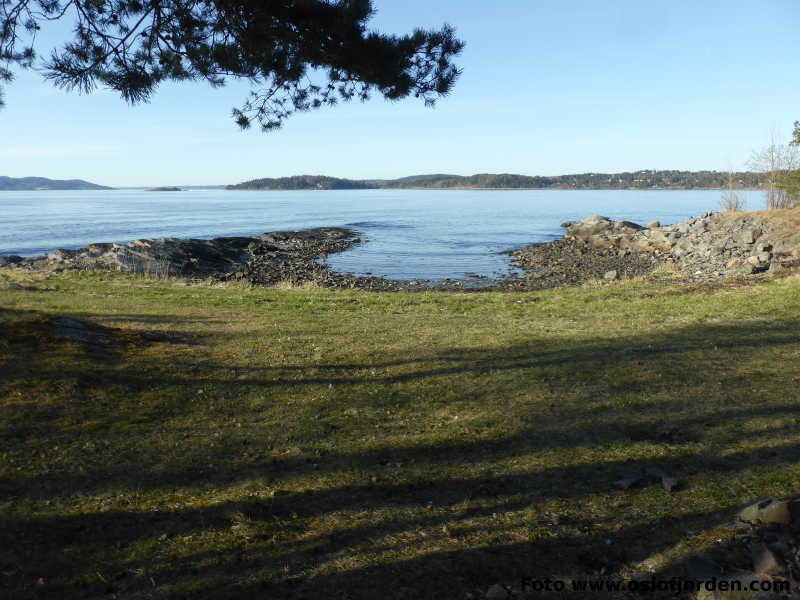 Signalodden badeplass Moss Jeløya