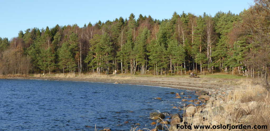 Søly badeplass Moss Jeløya