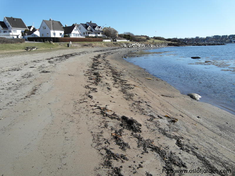 Vårlistranda badeplass Moss Jeløy